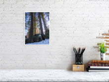 Load image into Gallery viewer, 5204065-1194654