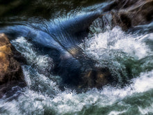 Load image into Gallery viewer, Wild Water