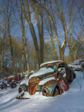 Load image into Gallery viewer, Failed Getaway