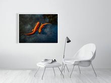 Load image into Gallery viewer, 5357489-1229559