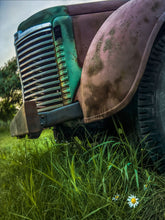 Load image into Gallery viewer, Daisy, Daisy