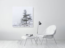 Load image into Gallery viewer, 5202364-1186798