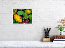 Load image into Gallery viewer, 5294020-1211262