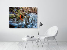 Load image into Gallery viewer, 5357379-1229556