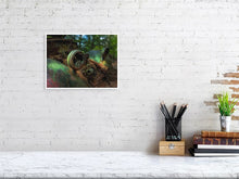 Load image into Gallery viewer, 5295795-1211289