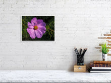 Load image into Gallery viewer, 5359123-1229640