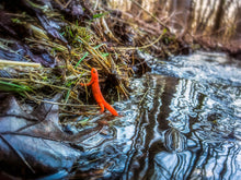 Load image into Gallery viewer, Against All Odds