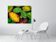 Load image into Gallery viewer, 5294020-1211265