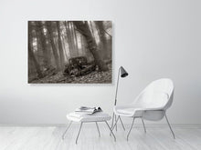 Load image into Gallery viewer, 5203984-1195022