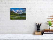 Load image into Gallery viewer, 5204435-1195063