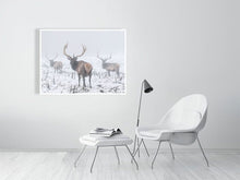 Load image into Gallery viewer, 5202398-1194997