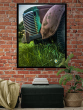 Load image into Gallery viewer, Daisy, Daisy