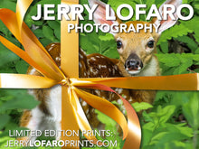 Load image into Gallery viewer, Jerry LoFaro Prints Gift Card