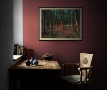 Load image into Gallery viewer, Forest Glow