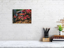 Load image into Gallery viewer, 5294002-1211251