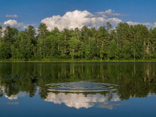 Load image into Gallery viewer, Beauty Mark