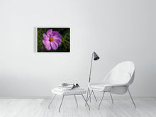 Load image into Gallery viewer, 5359123-1229641