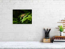 Load image into Gallery viewer, 5359162-1229644