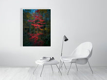 Load image into Gallery viewer, 5796653-1313521