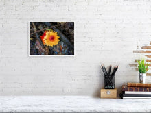 Load image into Gallery viewer, 5357528-1229561