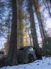 Load image into Gallery viewer, The Pines of Roam