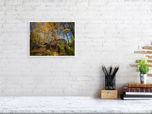 Load image into Gallery viewer, 5201242-1194911