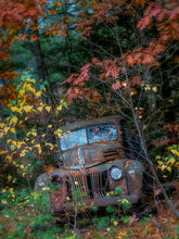 Load image into Gallery viewer, Autumnated