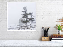 Load image into Gallery viewer, 5202364-1186796