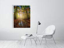 Load image into Gallery viewer, 5352307-1229328