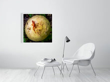 Load image into Gallery viewer, 5291607-1211355