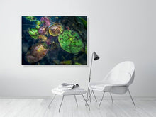 Load image into Gallery viewer, 5294018-1211541