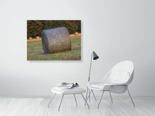 Load image into Gallery viewer, 5292745-1211914