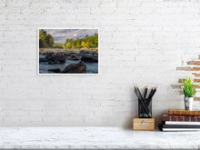 Load image into Gallery viewer, 5352304-1229354