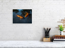 Load image into Gallery viewer, 5357220-1229549