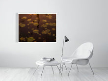 Load image into Gallery viewer, 5771269-1310714