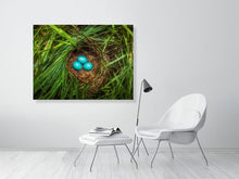 Load image into Gallery viewer, 5771167-1310581