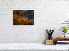 Load image into Gallery viewer, 5771278-1310708