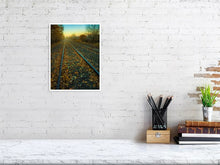 Load image into Gallery viewer, 5352287-1229318