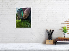 Load image into Gallery viewer, 5221757-1194674