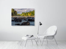 Load image into Gallery viewer, 5352304-1229356