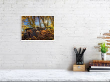 Load image into Gallery viewer, 5201724-1194951