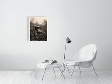 Load image into Gallery viewer, 5329634-1221129