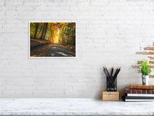 Load image into Gallery viewer, 5771250-1310716