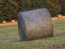 Load image into Gallery viewer, Hay Bales 3
