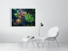 Load image into Gallery viewer, 5294018-1211540