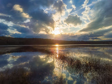 Load image into Gallery viewer, The Blazing Memory of Summer