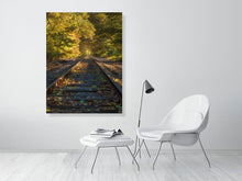 Load image into Gallery viewer, 5352297-1229325