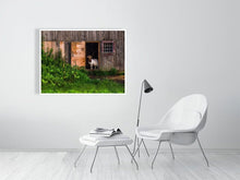 Load image into Gallery viewer, 5221804-1195101