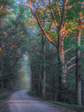 Load image into Gallery viewer, Dream On