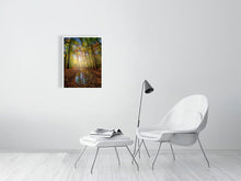 Load image into Gallery viewer, 5352307-1229327